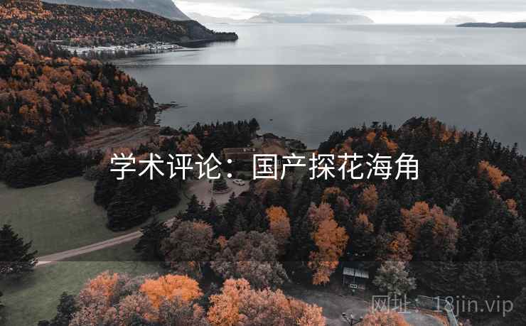 学术评论:国产探花海角 学术评论:国产探花海角