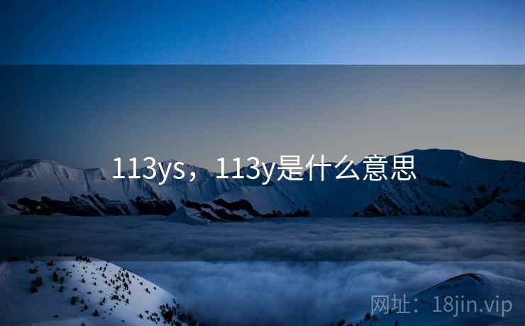 113ys，113y是什么意思