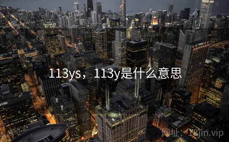 113ys，113y是什么意思